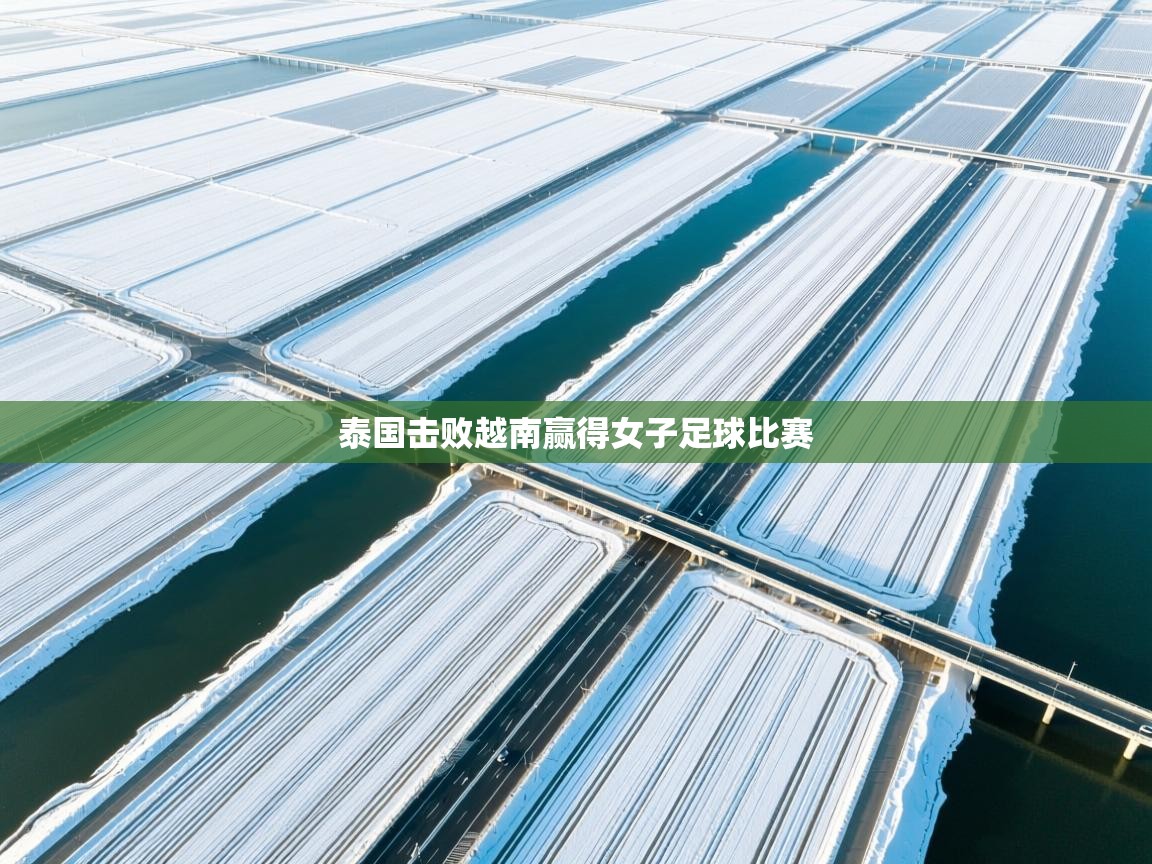 泰国击败越南赢得女子足球比赛  第1张